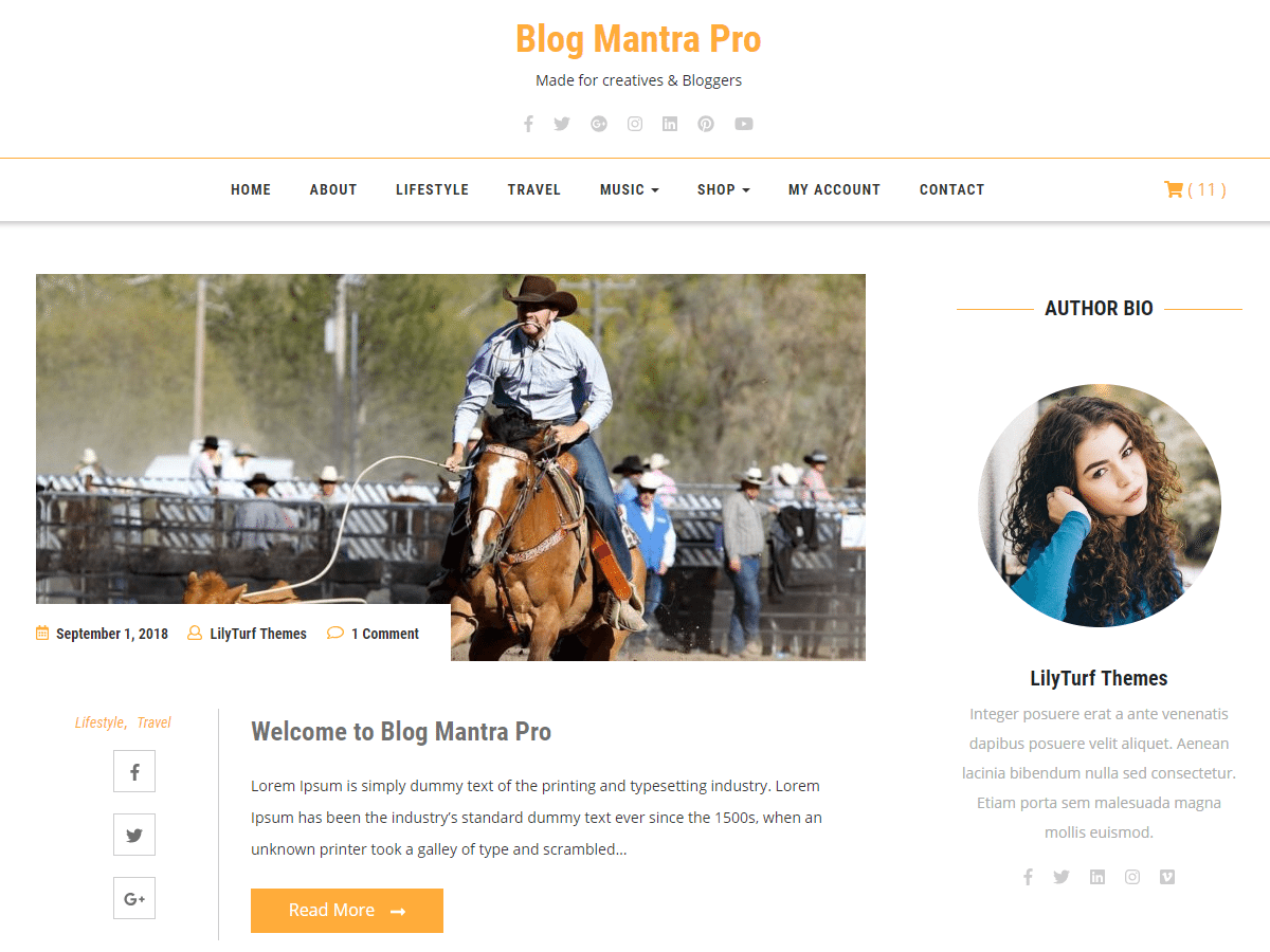 Blog Mantra Pro